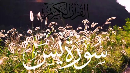 Surah Yasin Heart Touching Tilawat | Surah Yaseen Beautiful Recitation | سورہ یاسین پرسکون آواز تلاوت