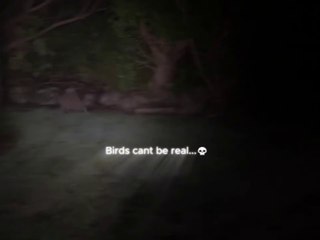 These Birds Are Amazing 😍