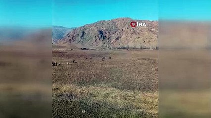 Belgesellerde izliyordu! Bu kez kendi objektifinden görüntüledi