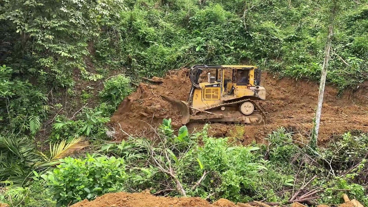 D6R XL Bulldozer Project Establishes Palm Terraces in Difficult Plantations