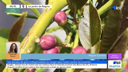 10/03/2025 - ici matin par ici Gascogne en vidéo