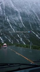 Fiordland a place that comes alive when it rains