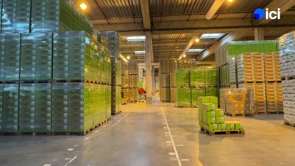 4/5 : la logistique de Rohan pour que le chocolat soit à temps en rayons