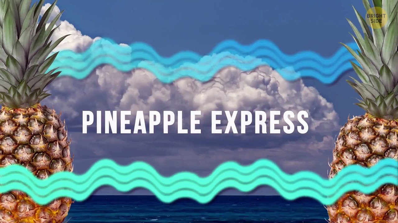 30 Fascinating Facts That Explain Earth’s Weird...