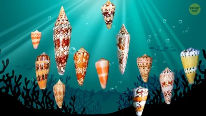 25 Nature’s Most Mysterious Warnings You Should Never Ignore