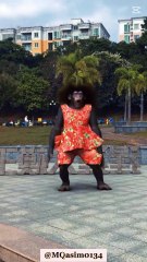 Rhythms of Tradition. The Artistry of Monkey Dance and Cockfighting