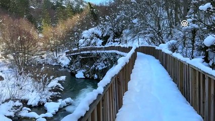 3,5 kilometrelik ahşap yol sonunda eşsiz şelale! 250 bin kişi geldi