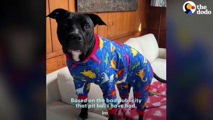 Dad Warned Her About Pitties — Then This Rescue Stole His Heart
