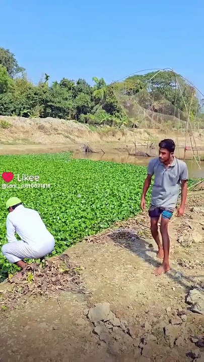 Funny video