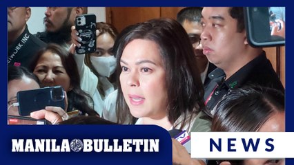 VP Sara articles of impeachment divided among House prosecutors