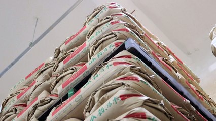 Japão leiloa arroz de suas reservas de emergência para tentar conter aumento dos preços