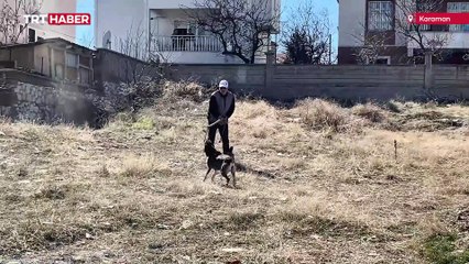 Oğlunu köpek saldırısından korumak isteyen baba yaralandı