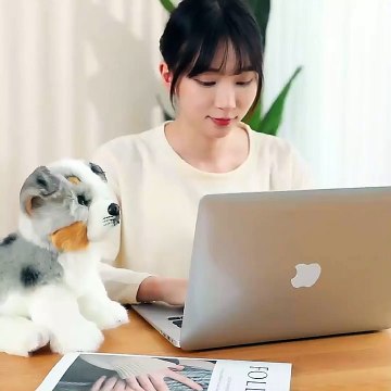 New Sunrise customize lifelike soft simulation plush welsh corgi pug-dog sitting bulldog pekingese golden retriever dog series