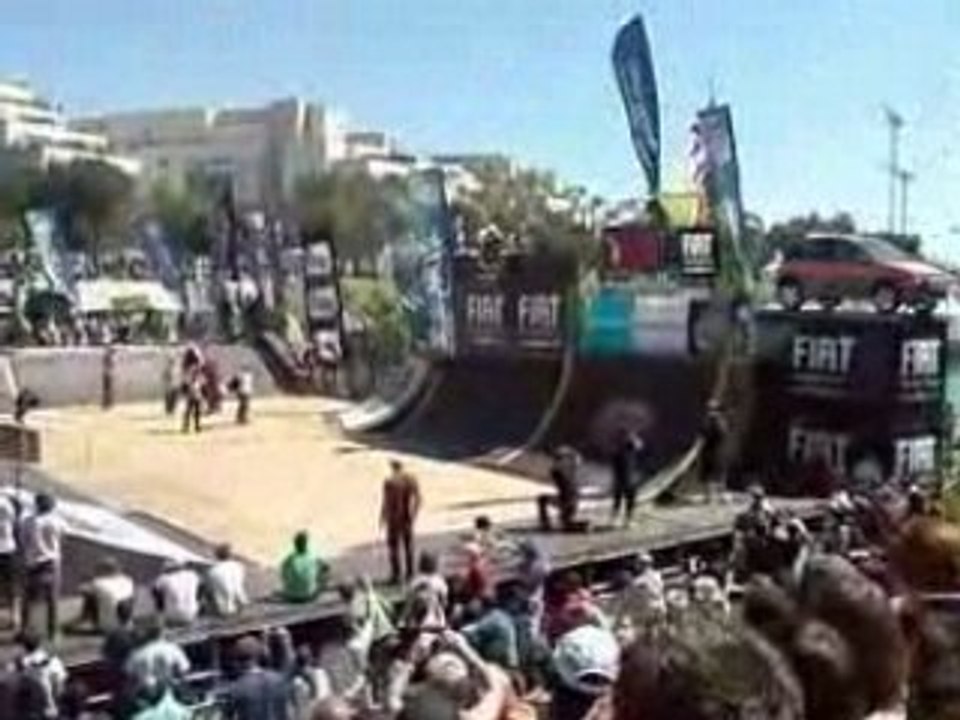 Fise 2008