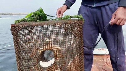 صيادو غزة يصنعون مراكب من أبواب الثلاجات