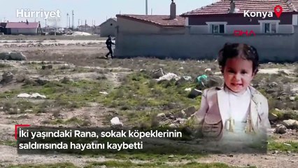İki yaşındaki Rana, sokak köpeklerinin saldırısında hayatını kaybetti