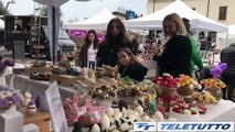 Video News - Calvisano, gran folla alla fiera