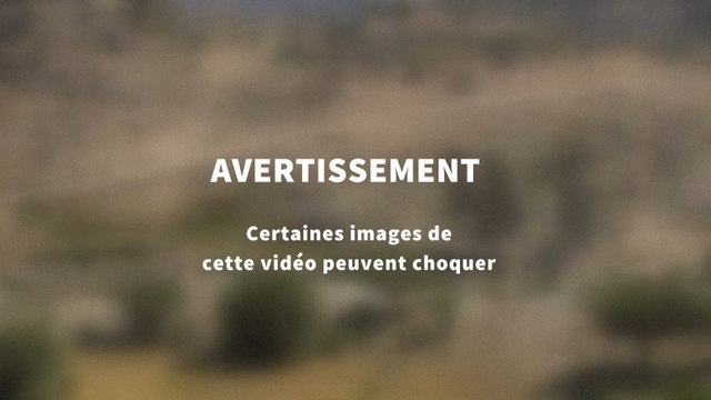 Dropped : dix ans après, les proches des victimes attendent toujours un procès