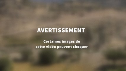 "Dropped": dix ans après, les proches des victimes attendent toujours un procès