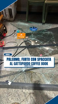 Furto con spaccata al Gattopardo Coffee Book di Palermo