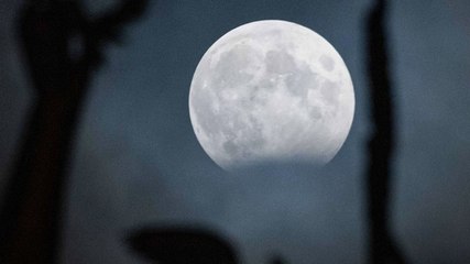 होली पर 100 साल बाद दुर्लभ संयोग, सूर्य गोचर और चंद्रग्रहण एक साथ