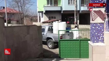 Samsun'da Bafra’da kahverengi kokarca ile mücadeleye start verildi