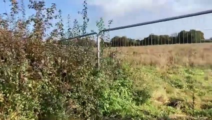 Daniel Mumby - Frome southern developments