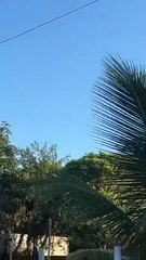 Vídeo flagra o avião rodopiando momentos antes de cair em aldeia indígena