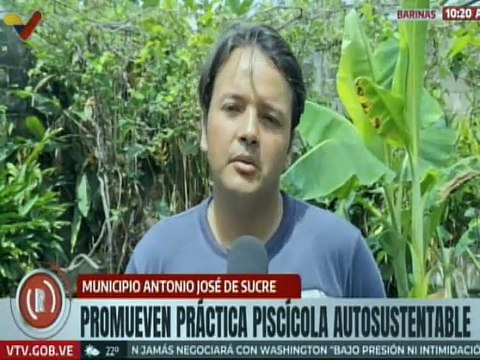 Barinas | Comuna Ezequiel Zamora impulsa economía local con proyecto de piscicultura