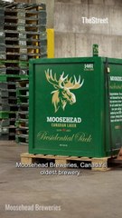 How top beer company is responding to tariffs