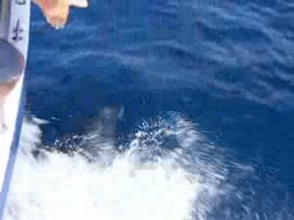 DSCF1428