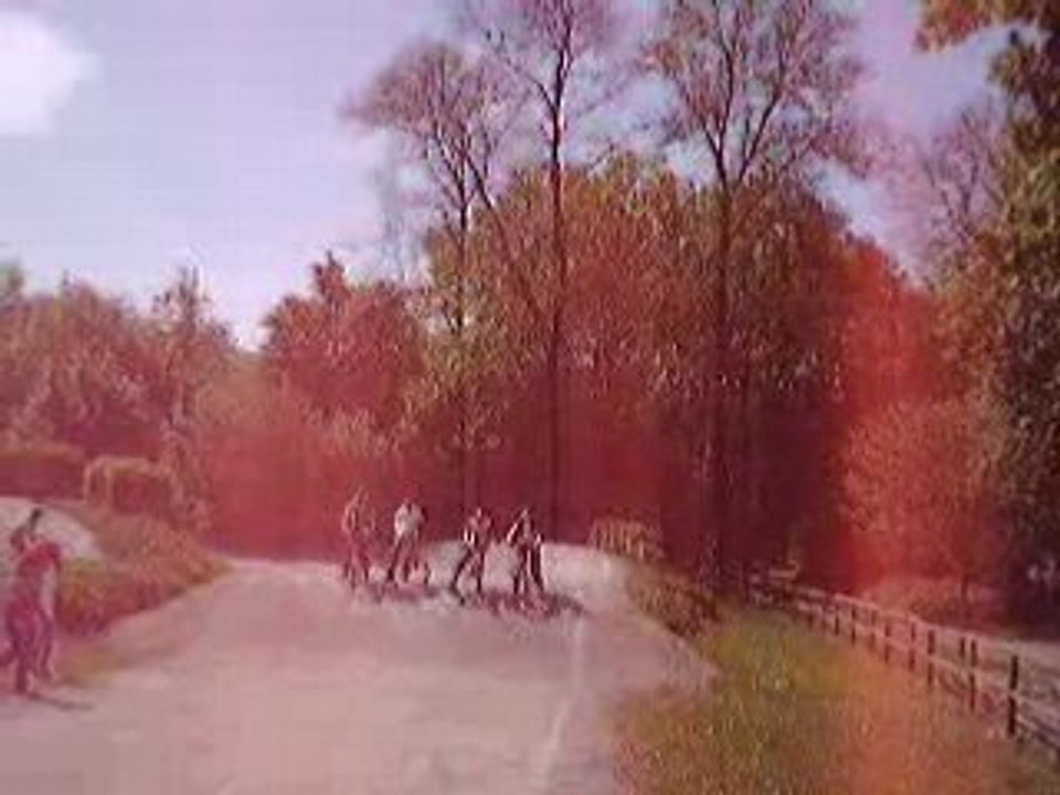 Bicross