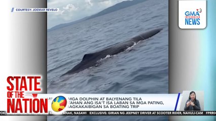 State of the Nation: (Part 2) Isiniksik na mga biik; Dolphin, Balyena VS pating?; Atbp.