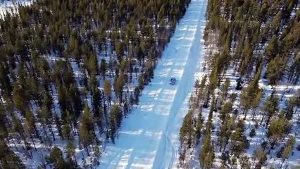 Alpine A390 (Prototype camouflé Dynamique)