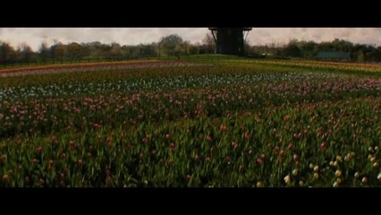 'Holland' - Tráiler Oficial Doblado