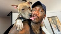 Meet the Man Who’s Fostered and Saved Over 40 Pitties