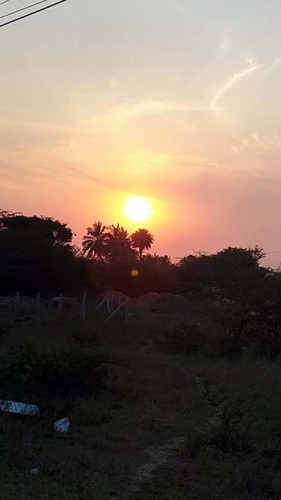 Nature | evening sunset | #sunset #nature reels #shorts