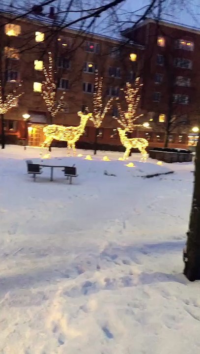 snow fall || snow Falling || weather