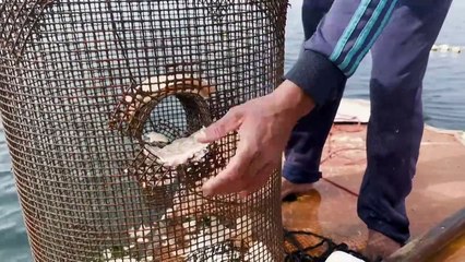 Na falta de barcos, palestinos usam portas de geladeiras para pescar