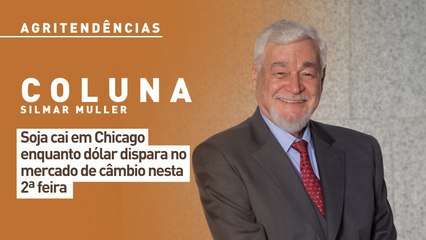 Soja cai em Chicago enquanto dólar dispara no mercado de câmbio nesta 2ª feira