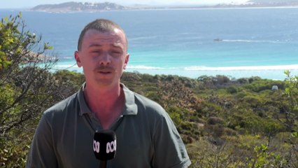 Surfer missing off Western Australia's south-east coast after shark attack