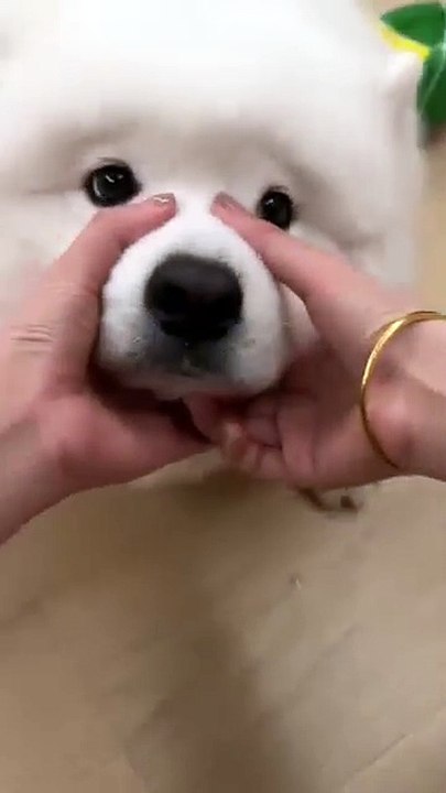 Why are you crying? What can I say to Sen?