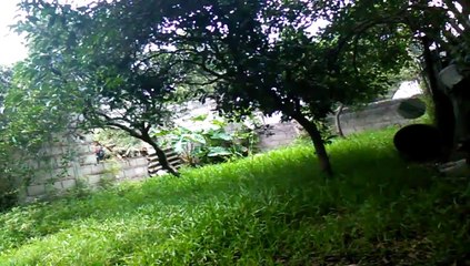 Una mañana de sábado gris y lluvioso (22/02/2025)