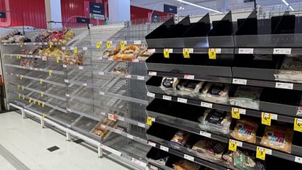 Gold Coast families turn prolonged power outage into bonding opportunity