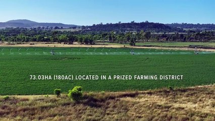 Zanzibar, Mt Tyson, Qld | March 11, 2025 | Farmonline