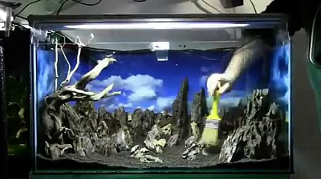 Aquarium