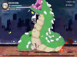 Echidna Wars DX: Sachiho 42m05s Chaos Difficulty Perfect Clear