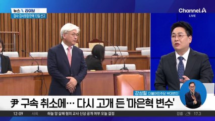 셈법 복잡해진 민주당…최상목 탄핵 추진하나?