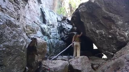 Discovering a Hidden Rainforest in an Ancient Volcano Crater(360P)