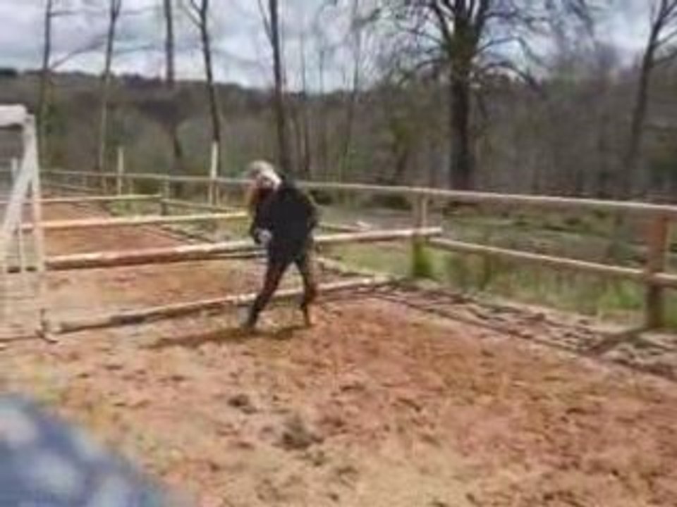 Folles dingues vidéo_0001